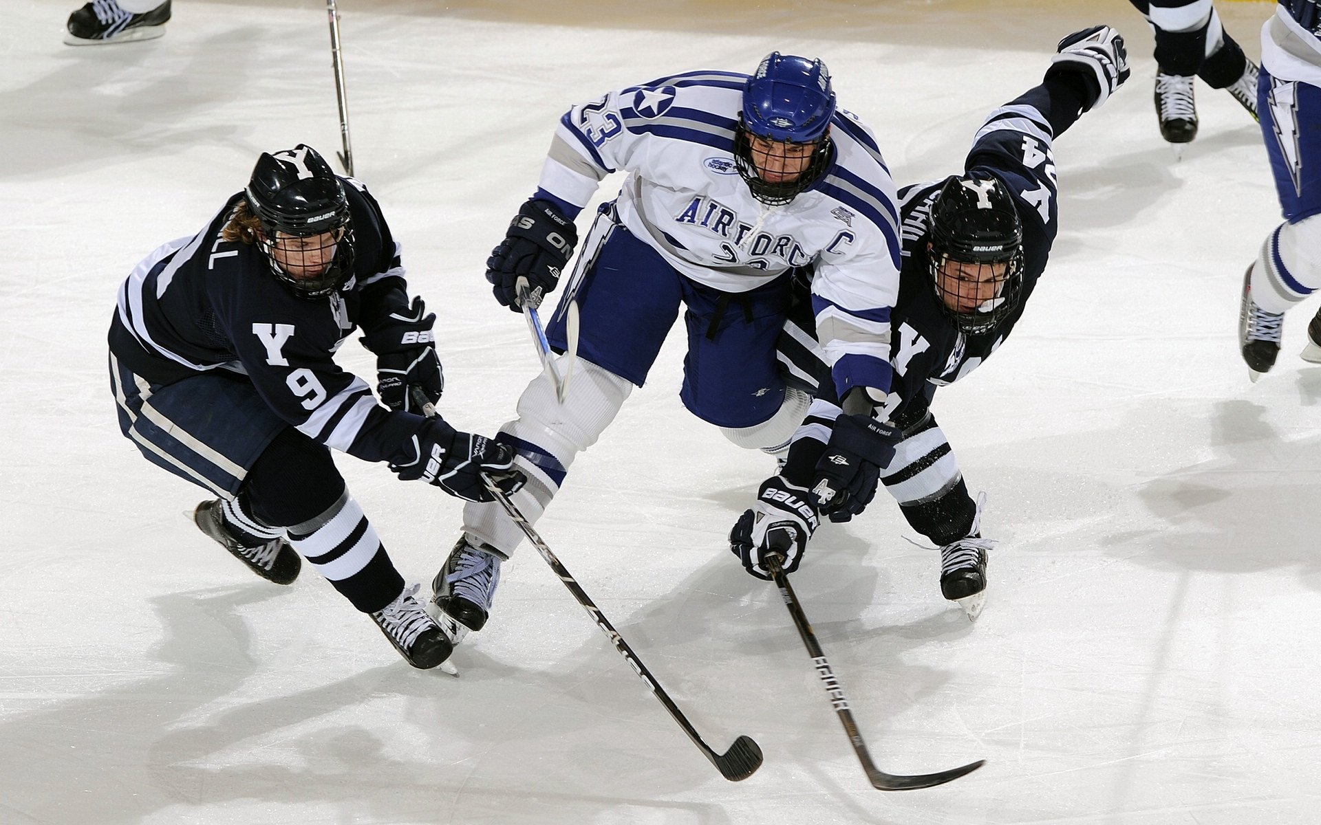 体育新闻中心支持体育非遗文化数字化转化，体育非遗发展状况